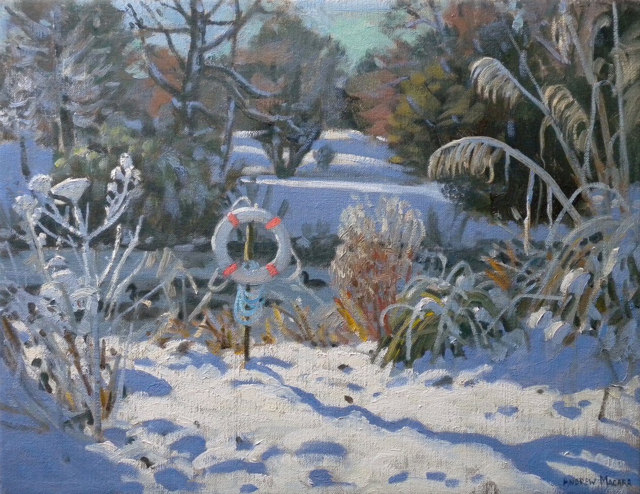 Der Rettungsring, Markeaton Park, Derby von Andrew Macara