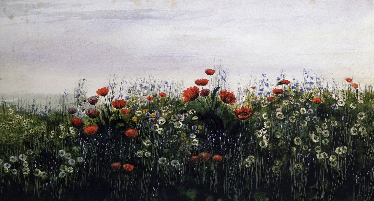 Sommerblumen. Gemälde von Andrew Nicholl (1804-1886) Privatsammlung. von Andrew Nicholl
