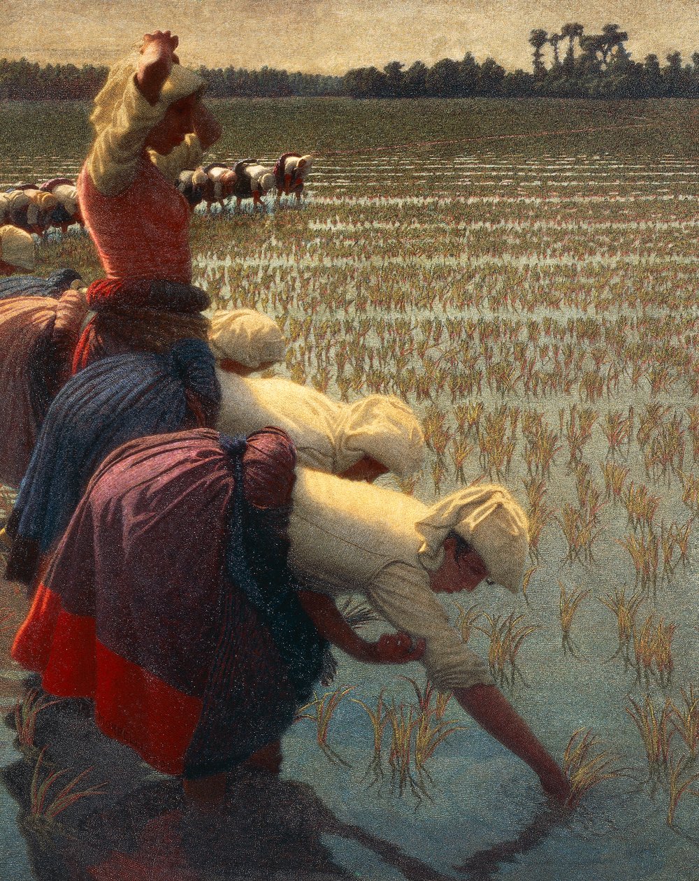 Die Mondine (Italienische Reisarbeiterinnen) von Angelo Morbelli