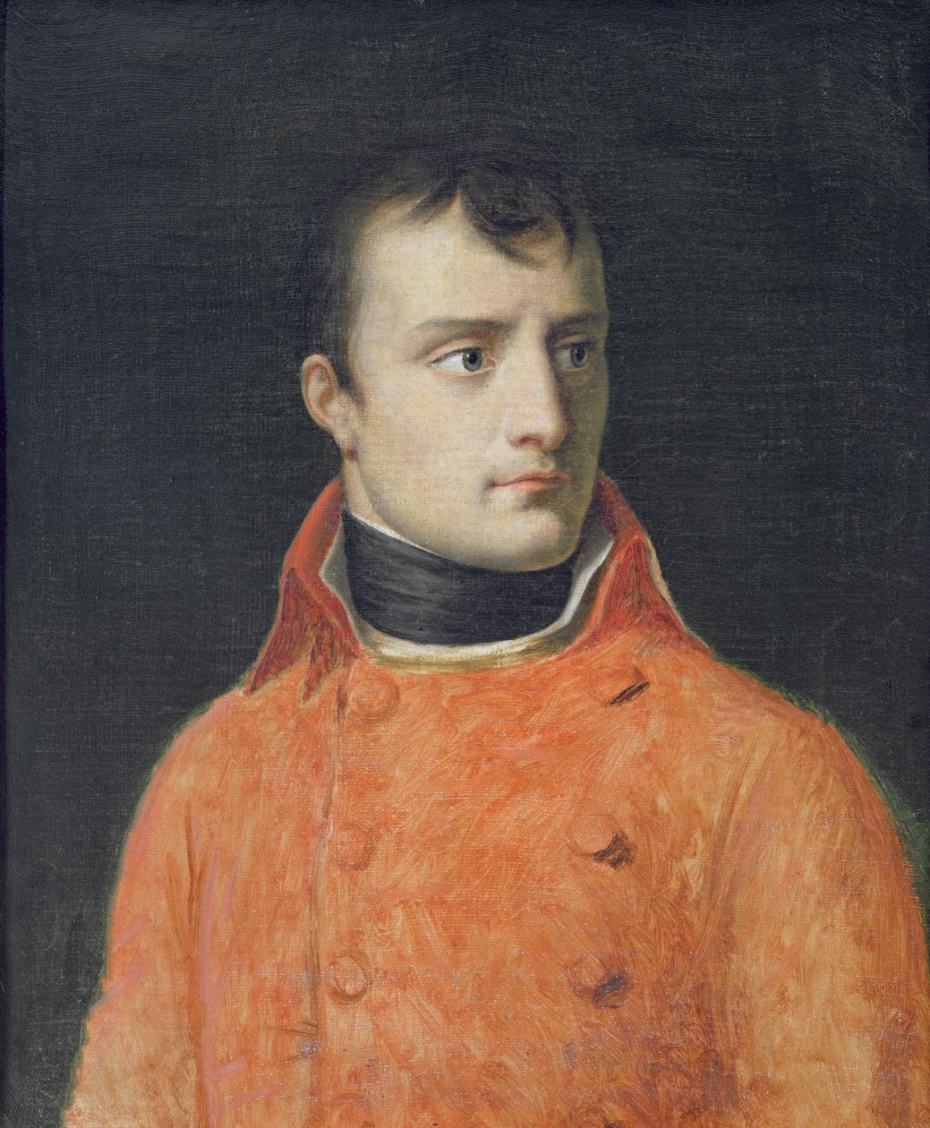 Napoléon Bonaparte, Erster Konsul von Anne Louis Girodet de Roucy Trioson