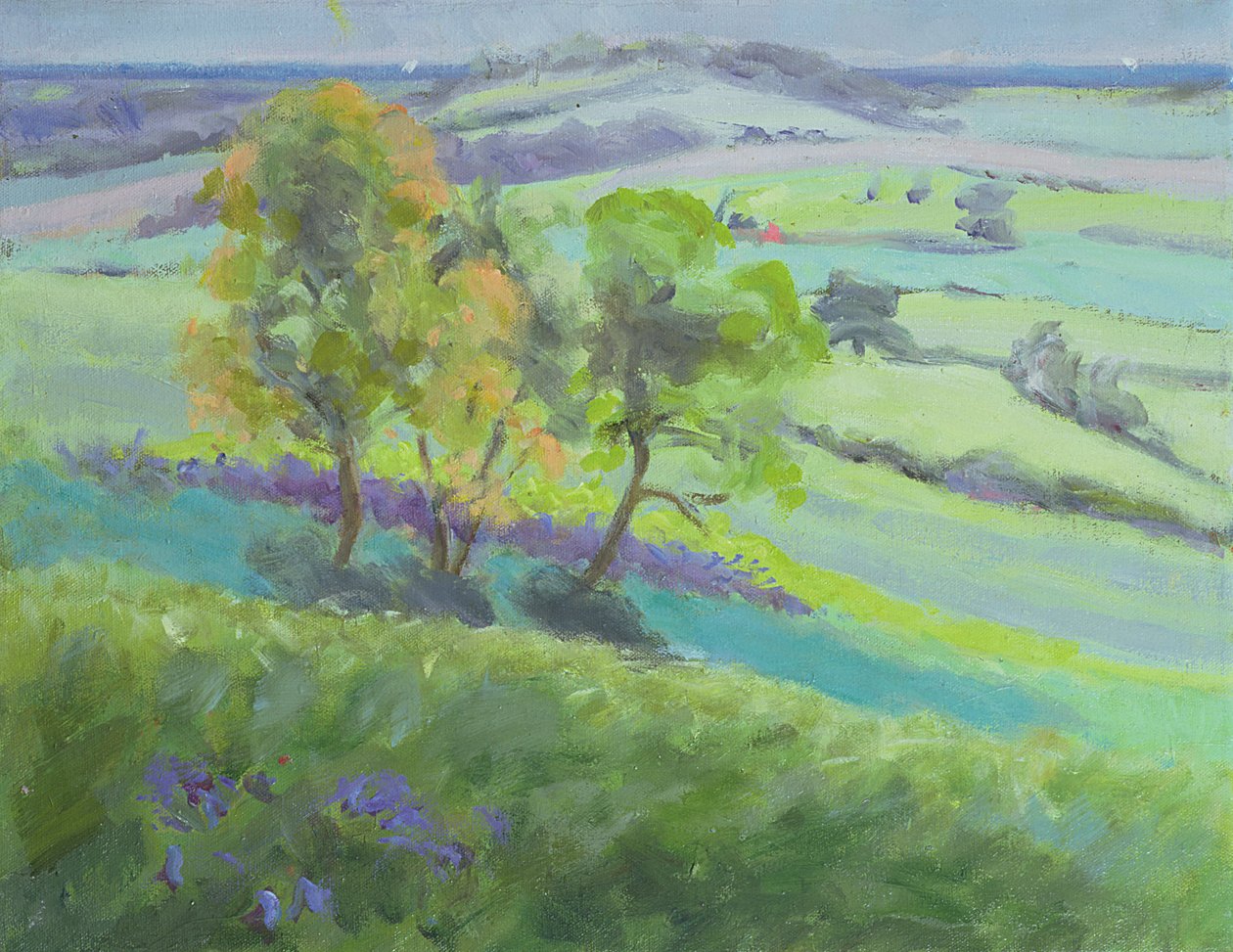 Nach Winchelsea, Sussex, mit Glockenblumen im Frühling von Anne Durham