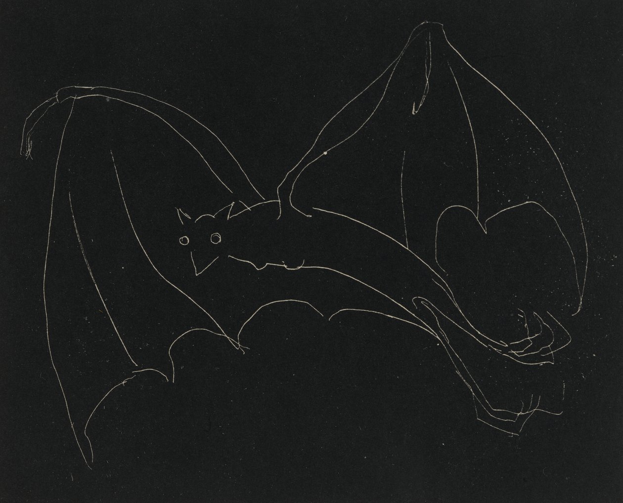 Nachtserie: Die Fledermaus von Anne Goldthwaite