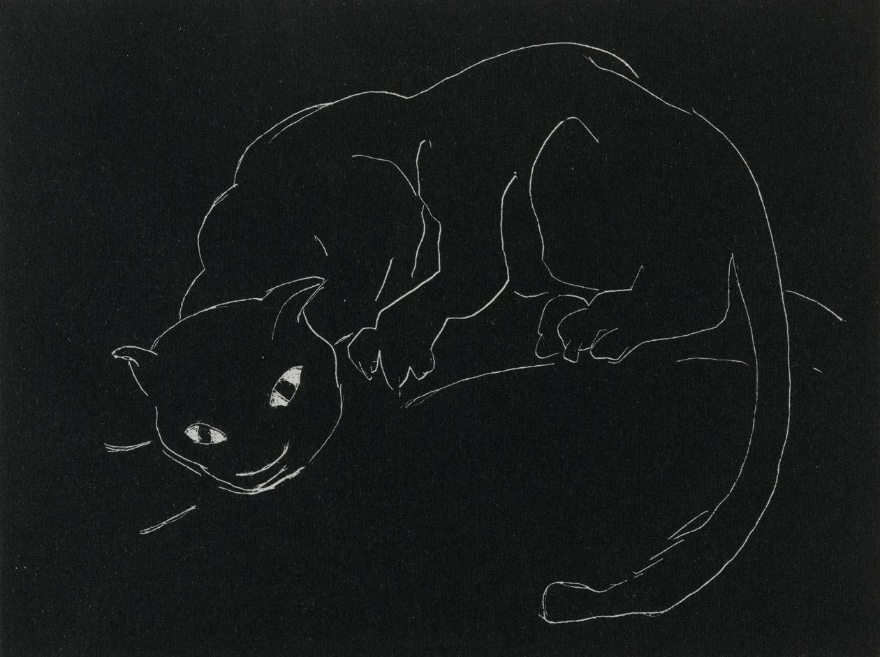 Nachtserie: Die Katze von Anne Goldthwaite
