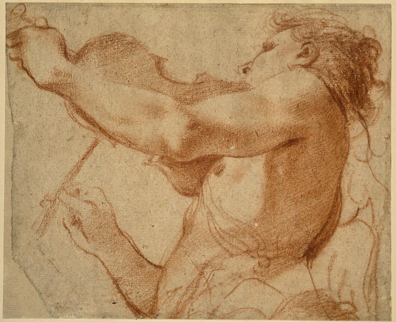 Ein Engel spielt die Violine von Annibale Carracci