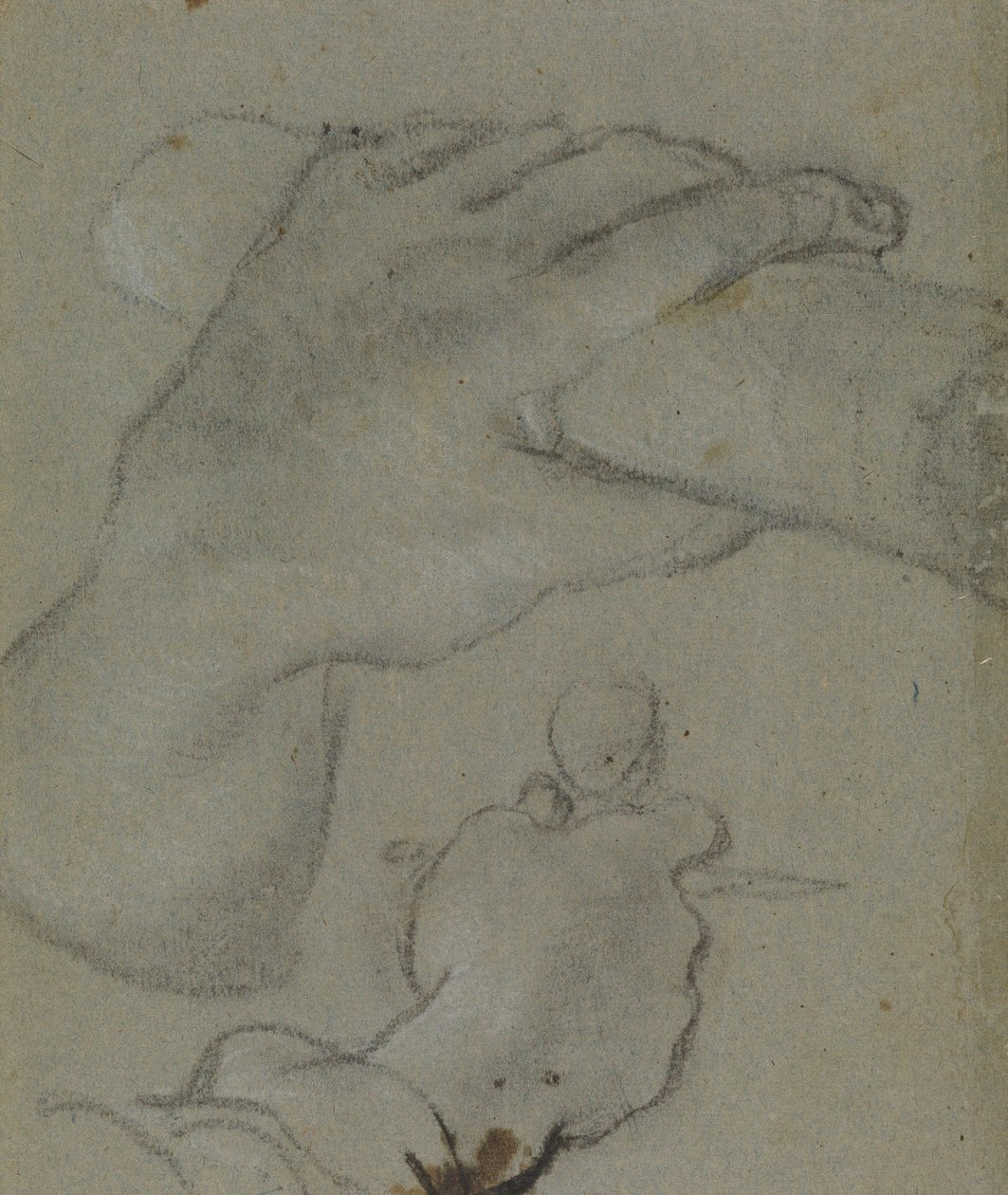 Studie für die Hände des Heiligen Johannes von Annibale Carracci