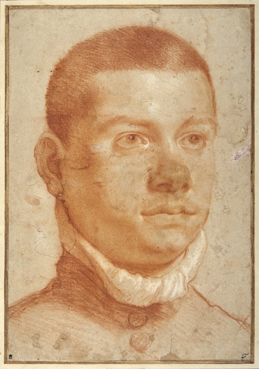 Porträtkopf eines jungen Mannes von Annibale Carracci