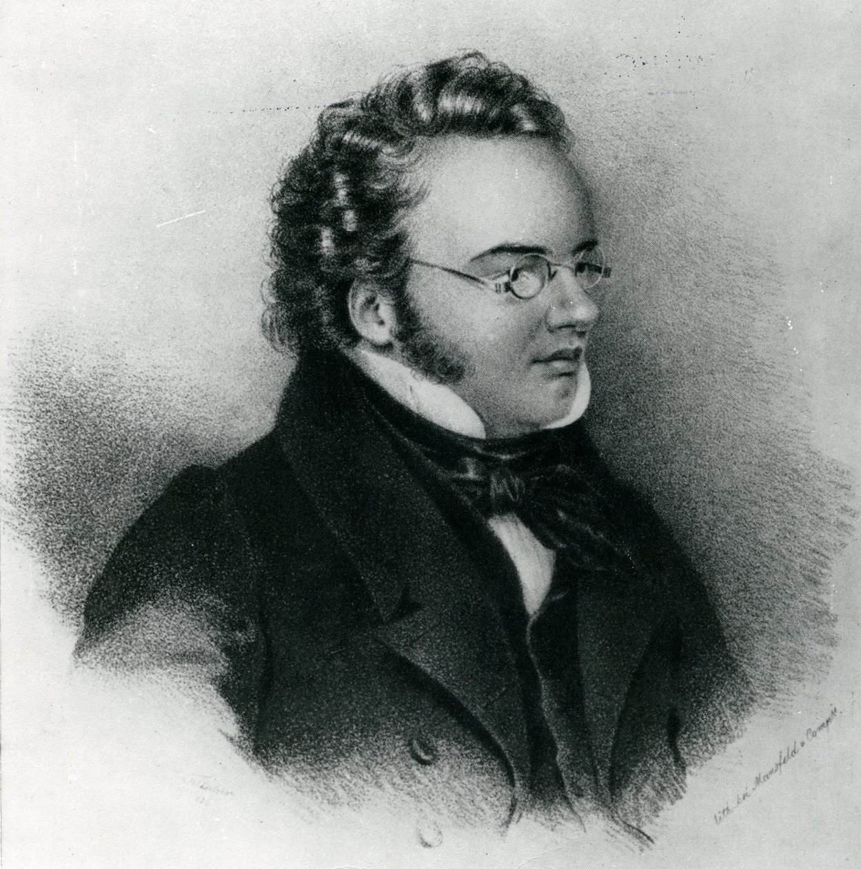 Porträt von Franz Schubert (1797-1828) von Unbekannt Unbekannt