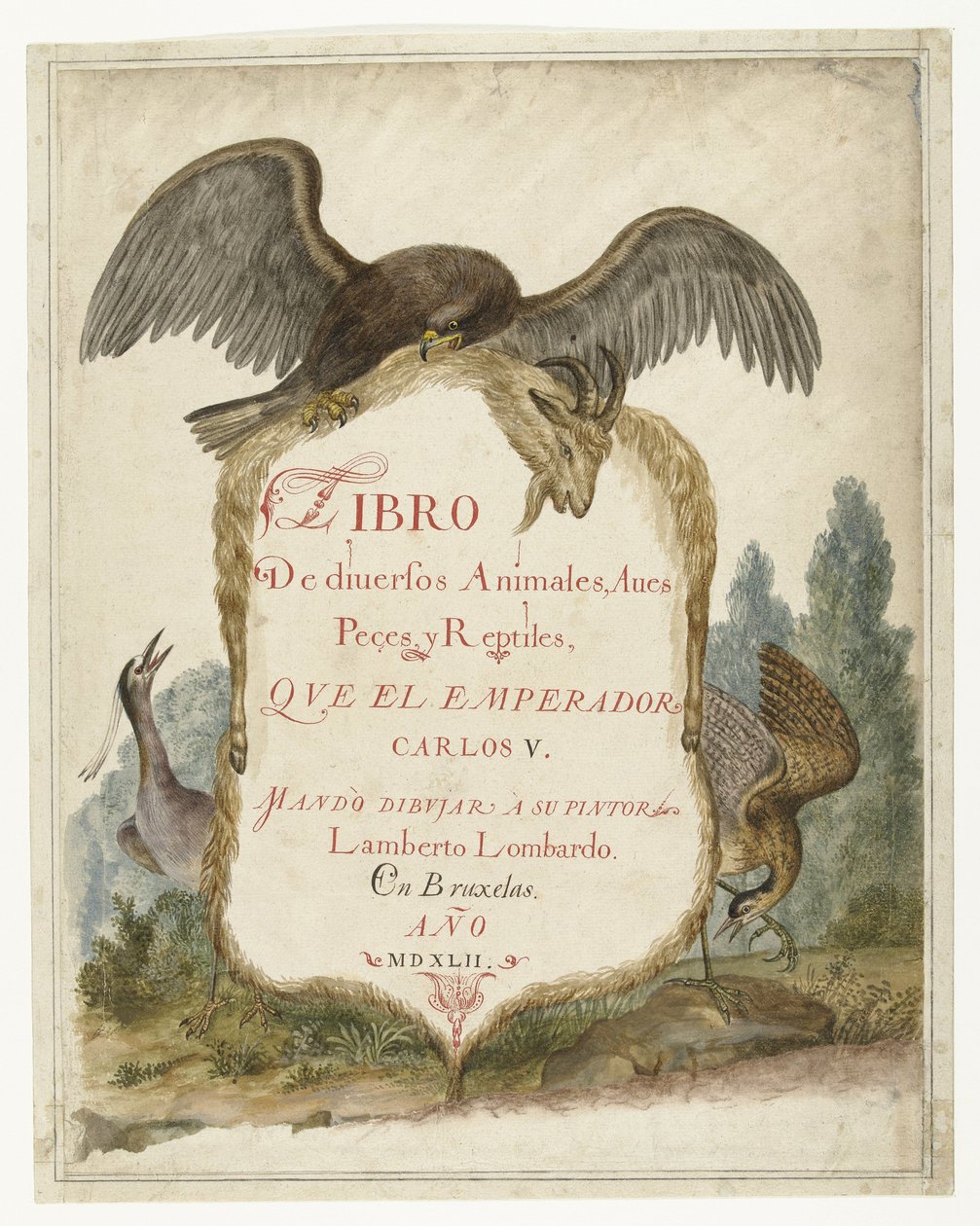 Kartusche gehalten von einem Steinadler, Nachtreiher und Rohrdommel (Lombard Album) von Anonymous