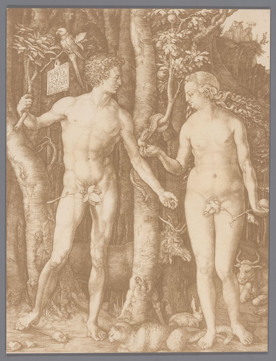 Fotoreproduktion des Kupferstichs Adam und Eva von Albrecht Dürer von Anonymous
