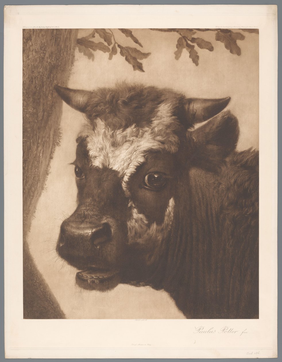 Detail von Die Stier (Paulus Potter) von Anonymous