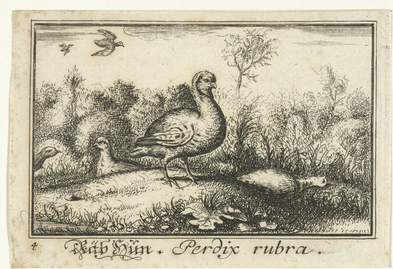 Landschaft mit Rebhühnern von Anonymous