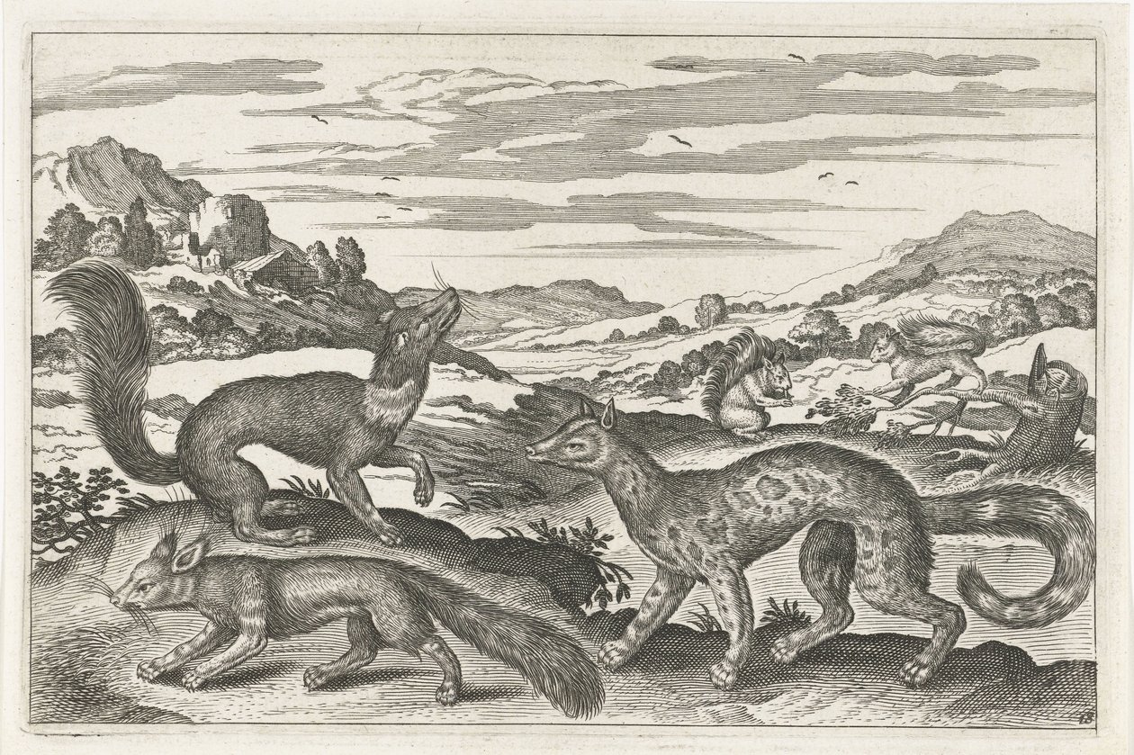 Marder, Eichhörnchen und ein Fuchs von Anonymous