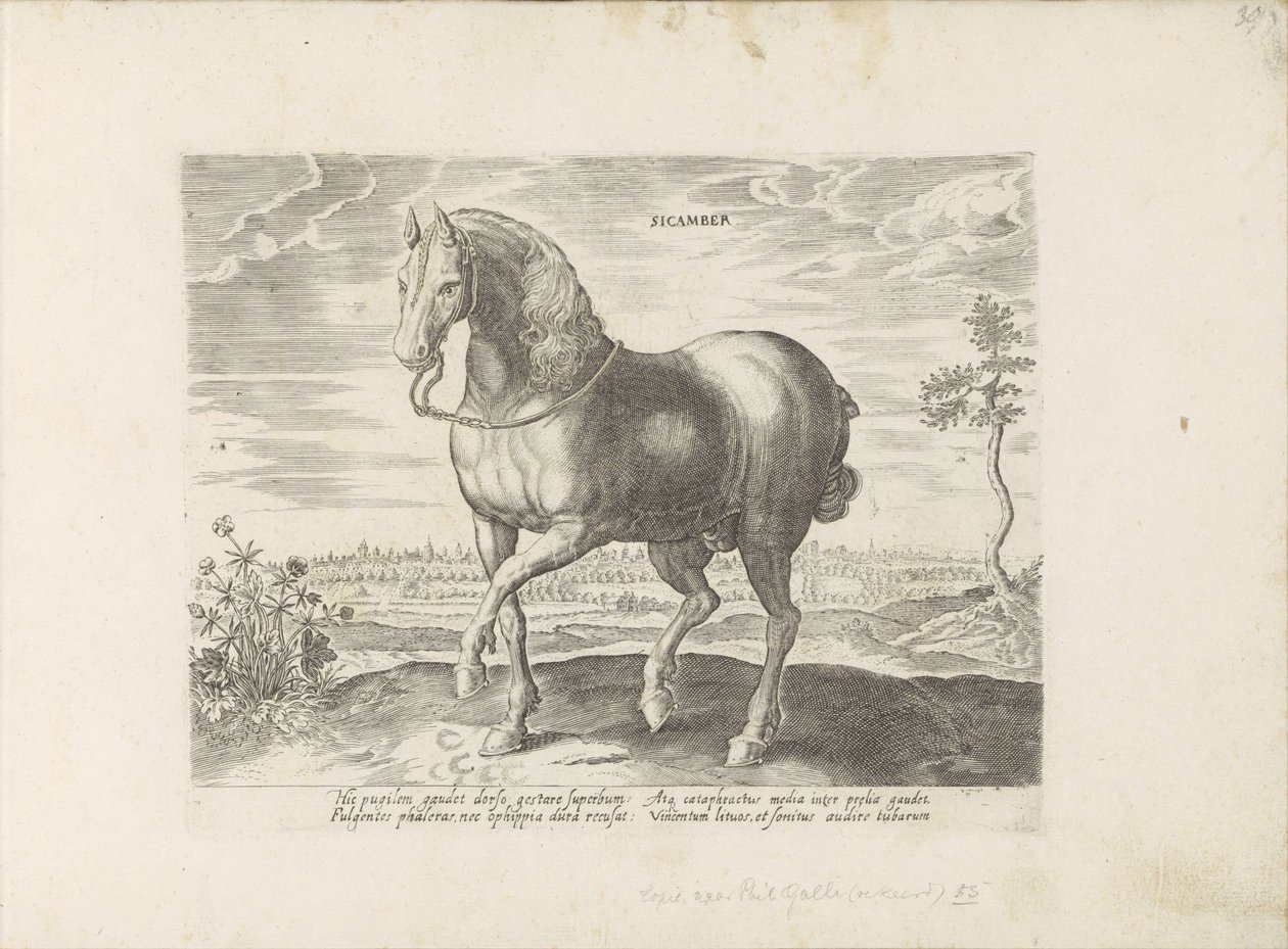 Pferd aus Geldern (Serie: Pferderassen aus den königlichen Ställen von Don Juan von Österreich) von Anonymous