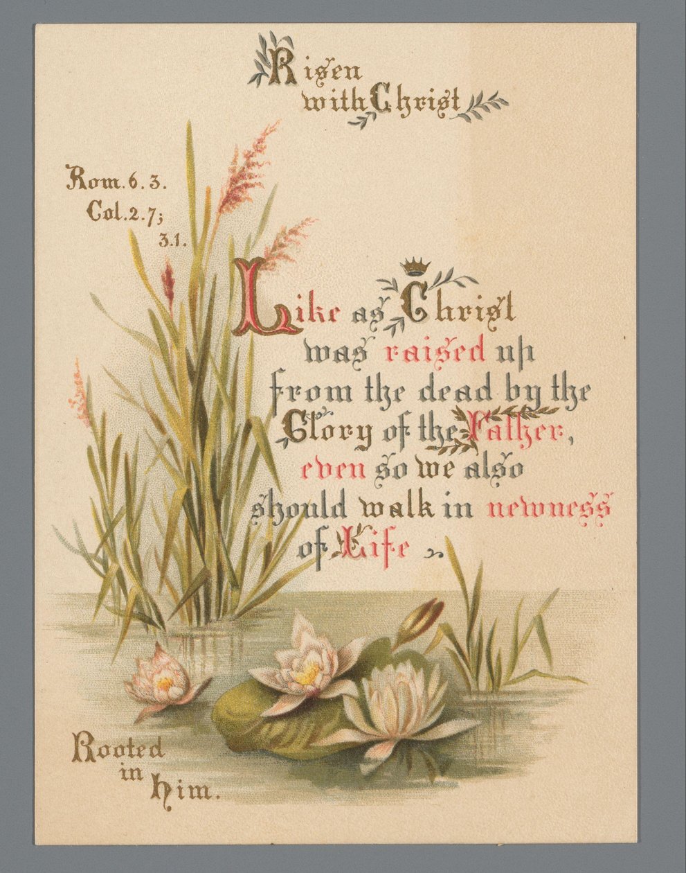 Osterkarte für 1883 von Anonymous