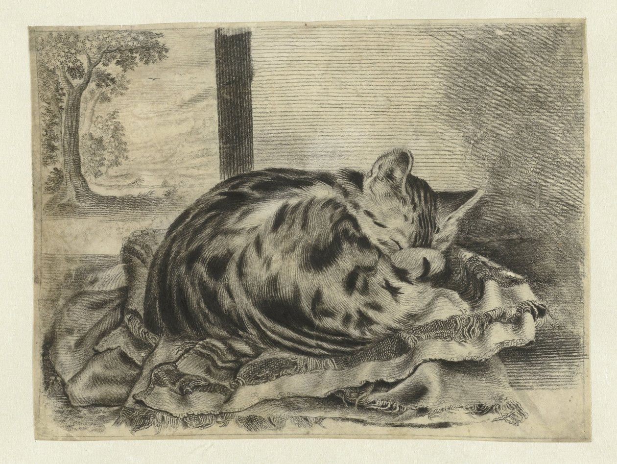 Schlafende Katze von Anonymous