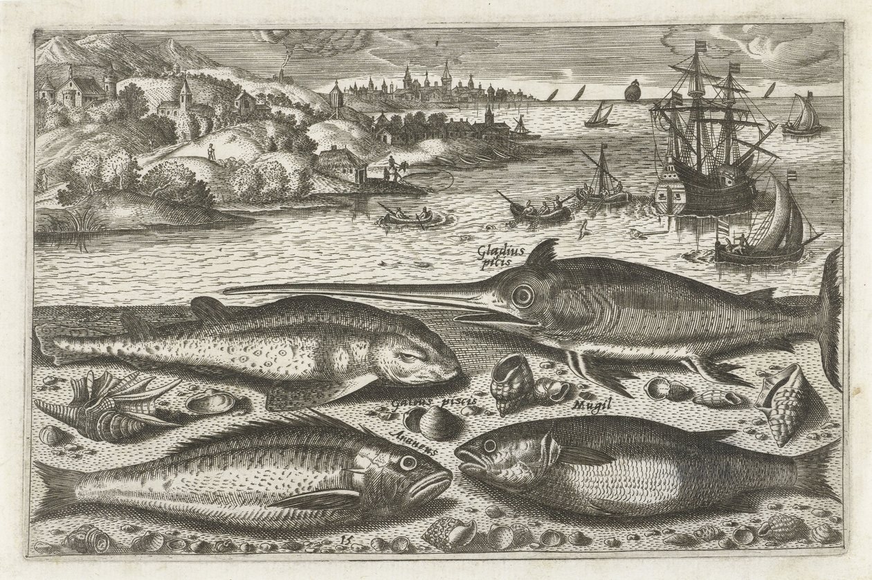 Vier Fische am Strand (Serie: Fische, Piscivm vivae icones) von Anonymous