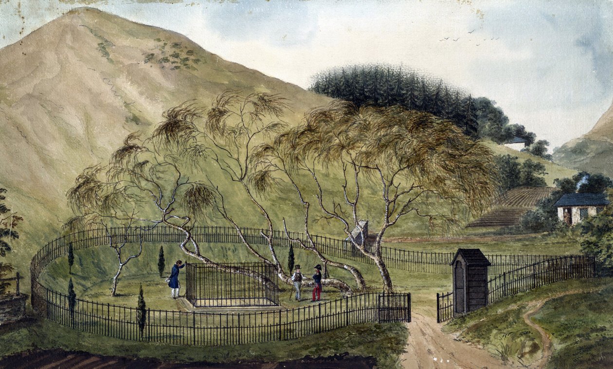 Napoleons Grabstätte auf St. Helena von Anonymous Anonymous