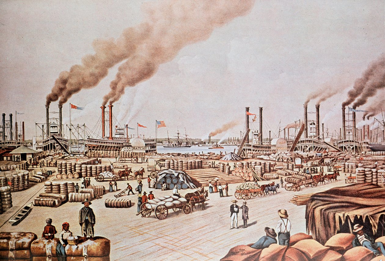 Hafen von New Orleans (USA): Baumwollverladung (1876) von Anonymous Anonymous