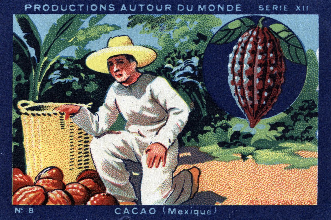 Produktionen rund um die Welt: Kakao in Mexiko. Chromolithographie von 1933 in „Joseph-Milliat Album“ von Anonymous Anonymous