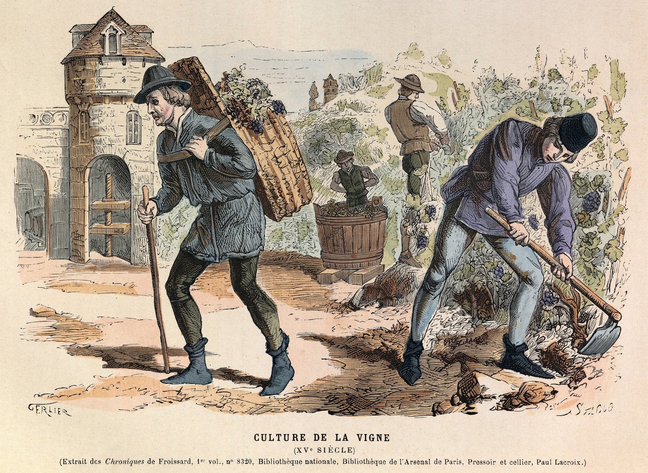 Weinbau im 15. Jahrhundert - Weinbau von Anonymous Anonymous