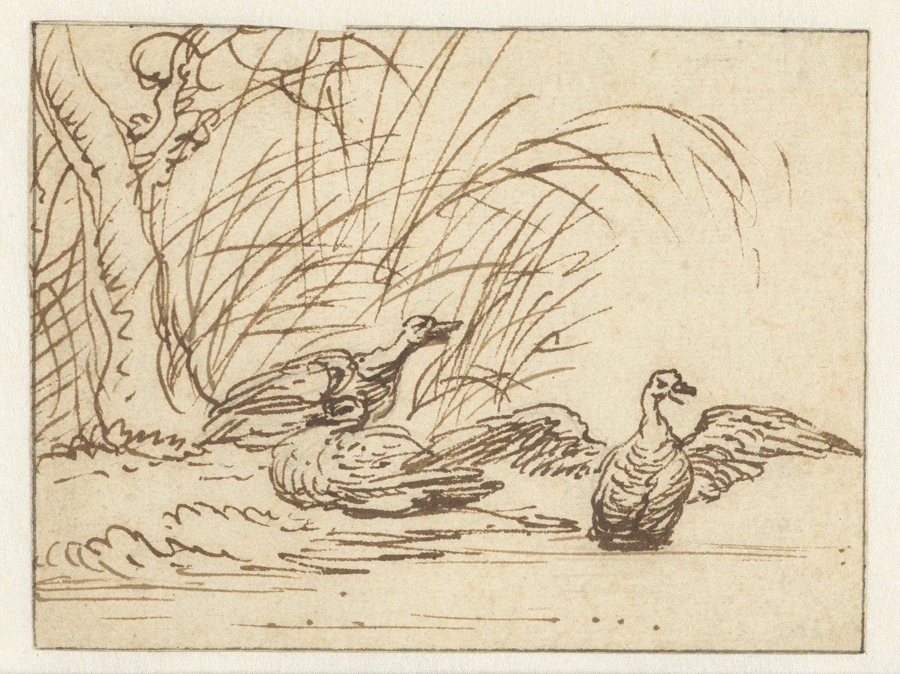 Drei Enten am Wasserufer von Anthonie van Borssom
