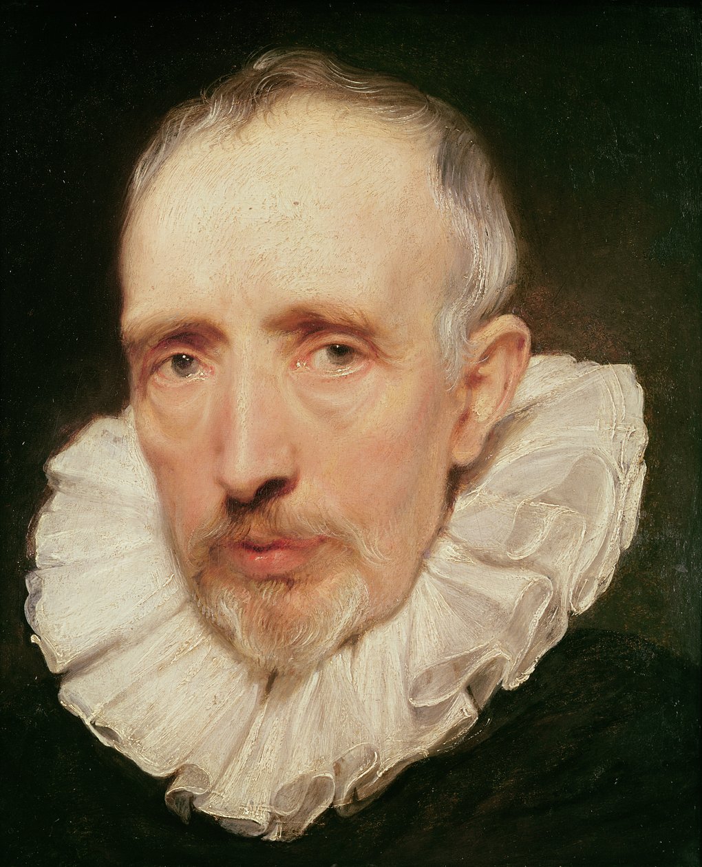 Porträt von Cornelis van der Geest, ca. 1620 von Anthony van Dyck
