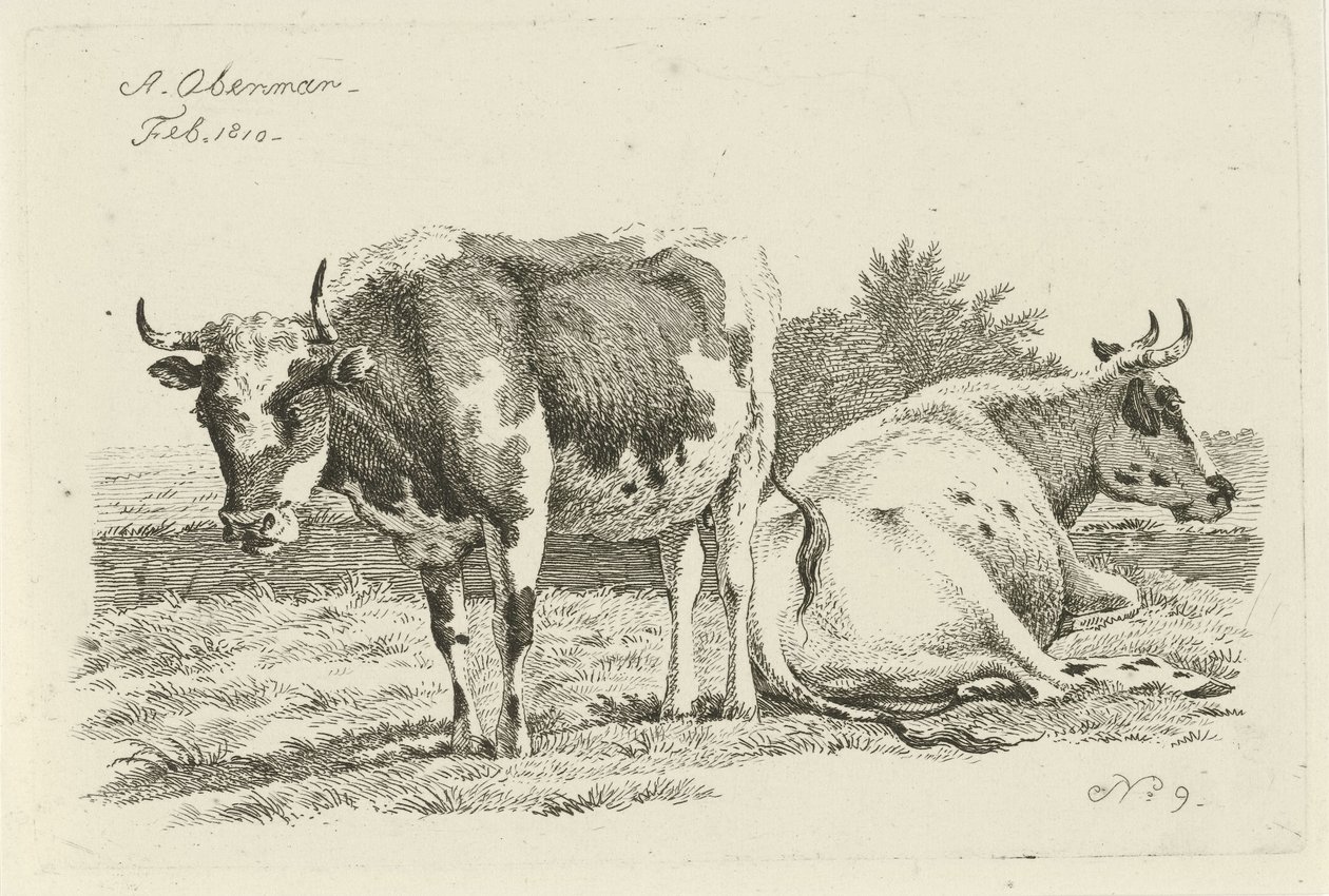 Stehende und liegende Kuh von Anthony Oberman