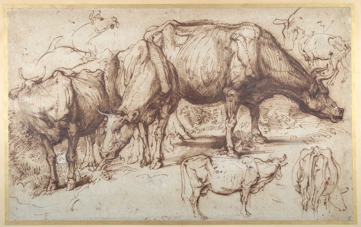 Vieh auf der Weide, ca. 1618-20 von Anthony van Dyck