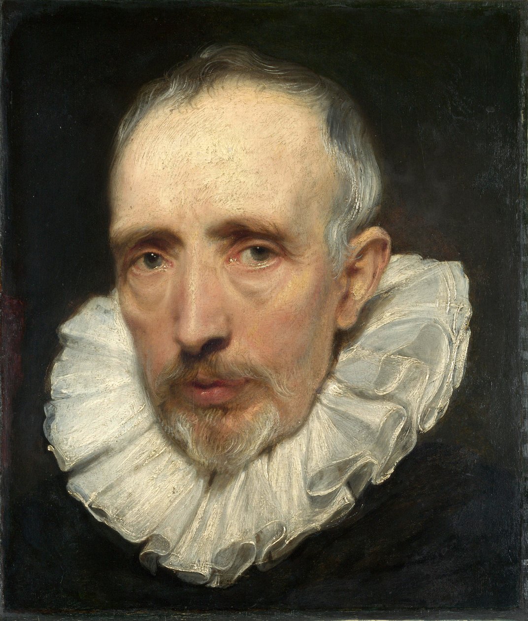 Porträt von Cornelis van der Geest von Anthony van Dyck