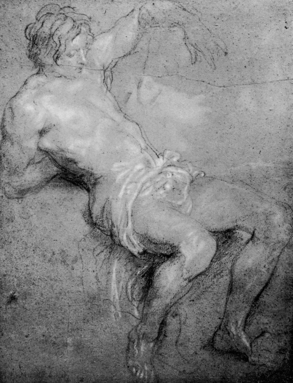 Studie für den St. Sebastian, 1913 von Anthony van Dyck
