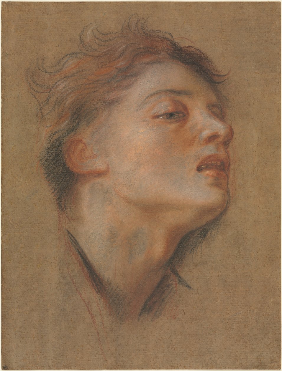 Kopf eines jungen Mannes, 1715-1717 von Antoine Coypel