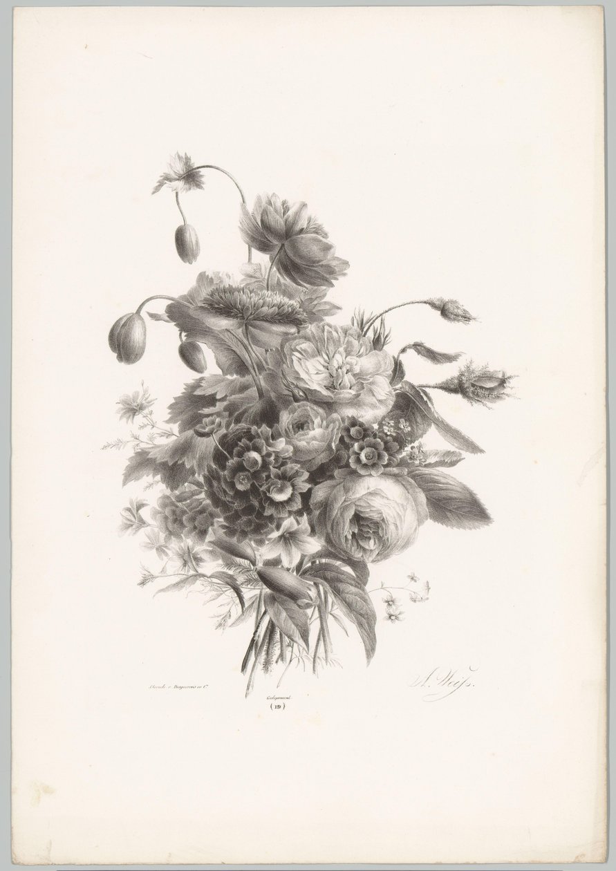 Rosen und andere Blumen von Anton Weiss
