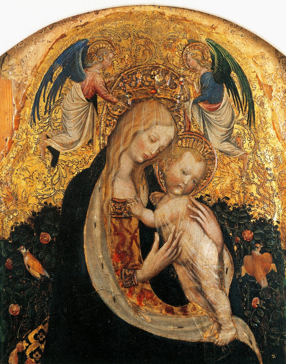 Madonna der Wachtel (Detail) von Antonio Pisanello