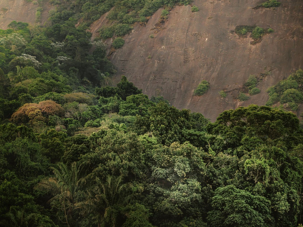 Corcovado XV, 2020 von Antonio Schubert