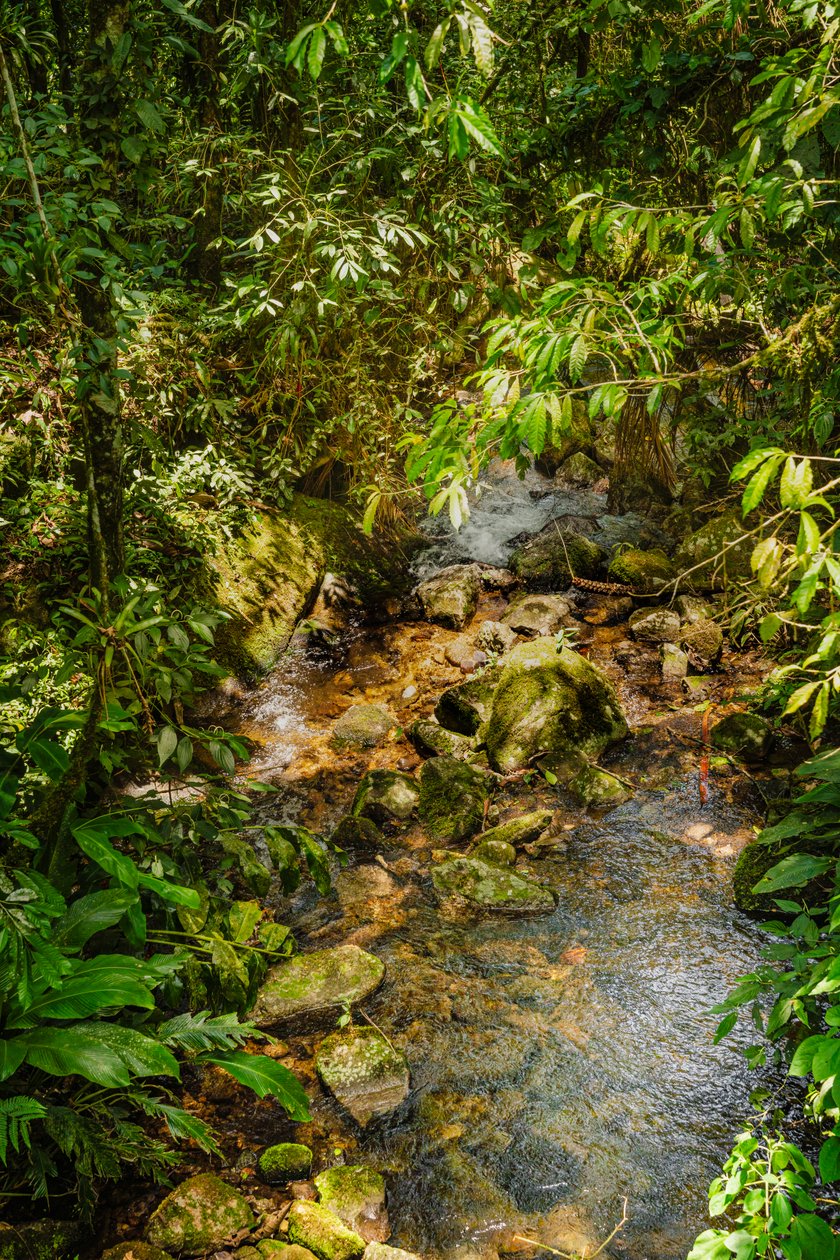 Mantiqueira-Kamm, 2021 von Antonio Schubert