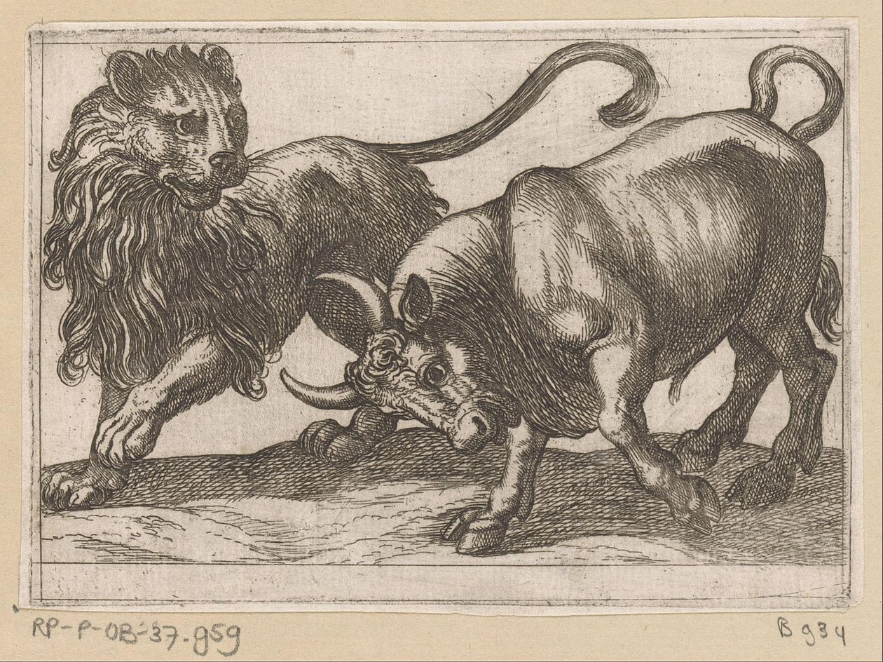Ein Stier greift einen Löwen an von Antonio Tempesta