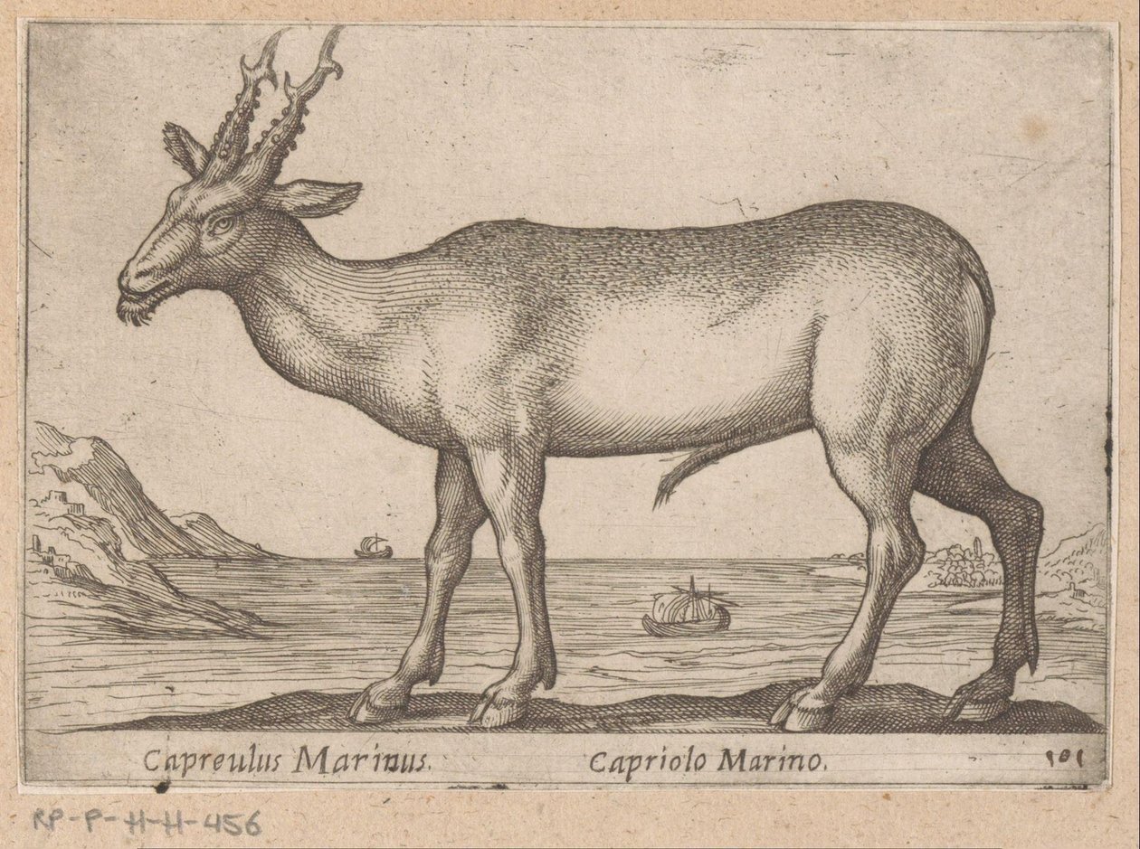 Hirsch Capreulus Marinus / Capriolo Marino (Titel auf Objekt) von Antonio Tempesta