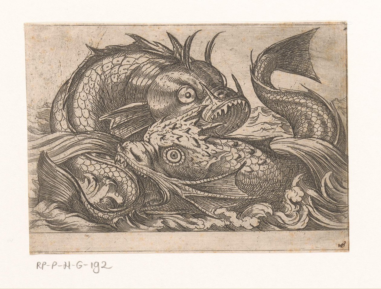 Zwei kämpfende Fische von Antonio Tempesta