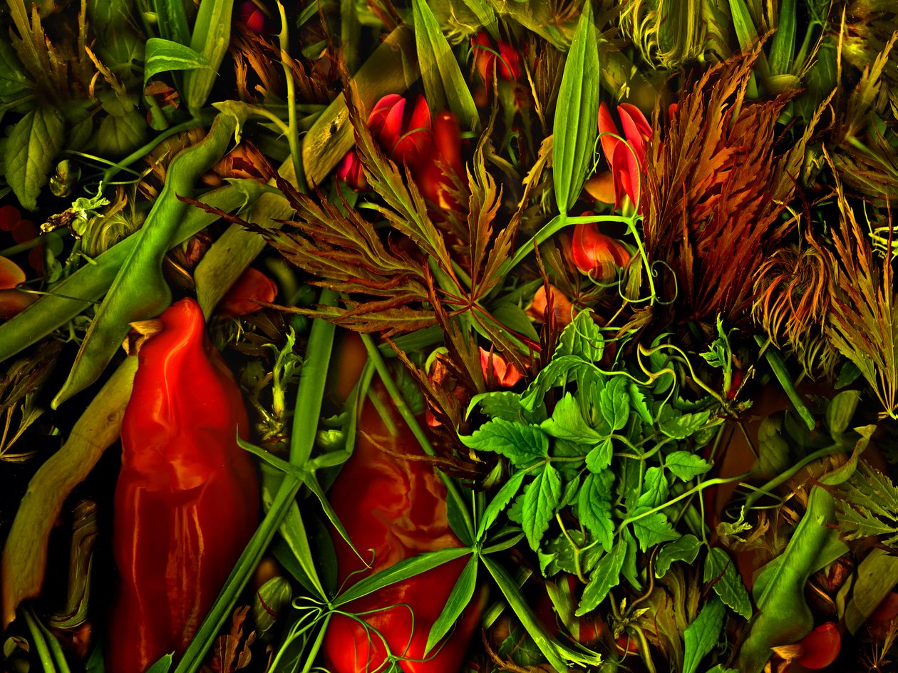 Anderswelt, 2025 von Antonius Antonius