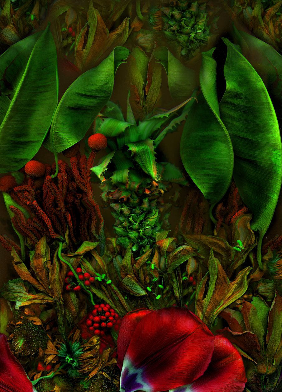 Anderswelt Nr. 22-2 von Antonius Antonius