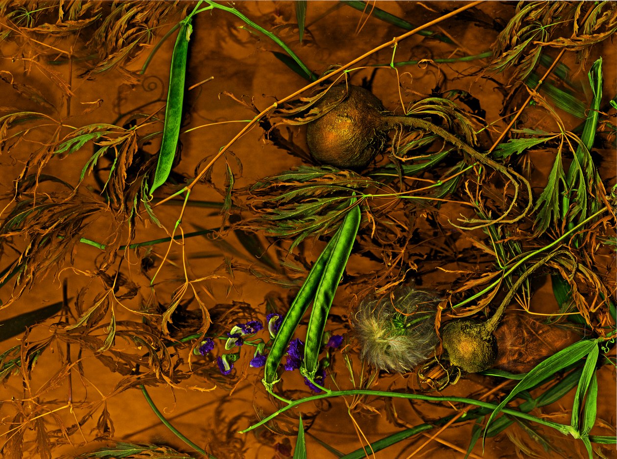 Erdkunst Nr.2, 2014 von Antonius Antonius