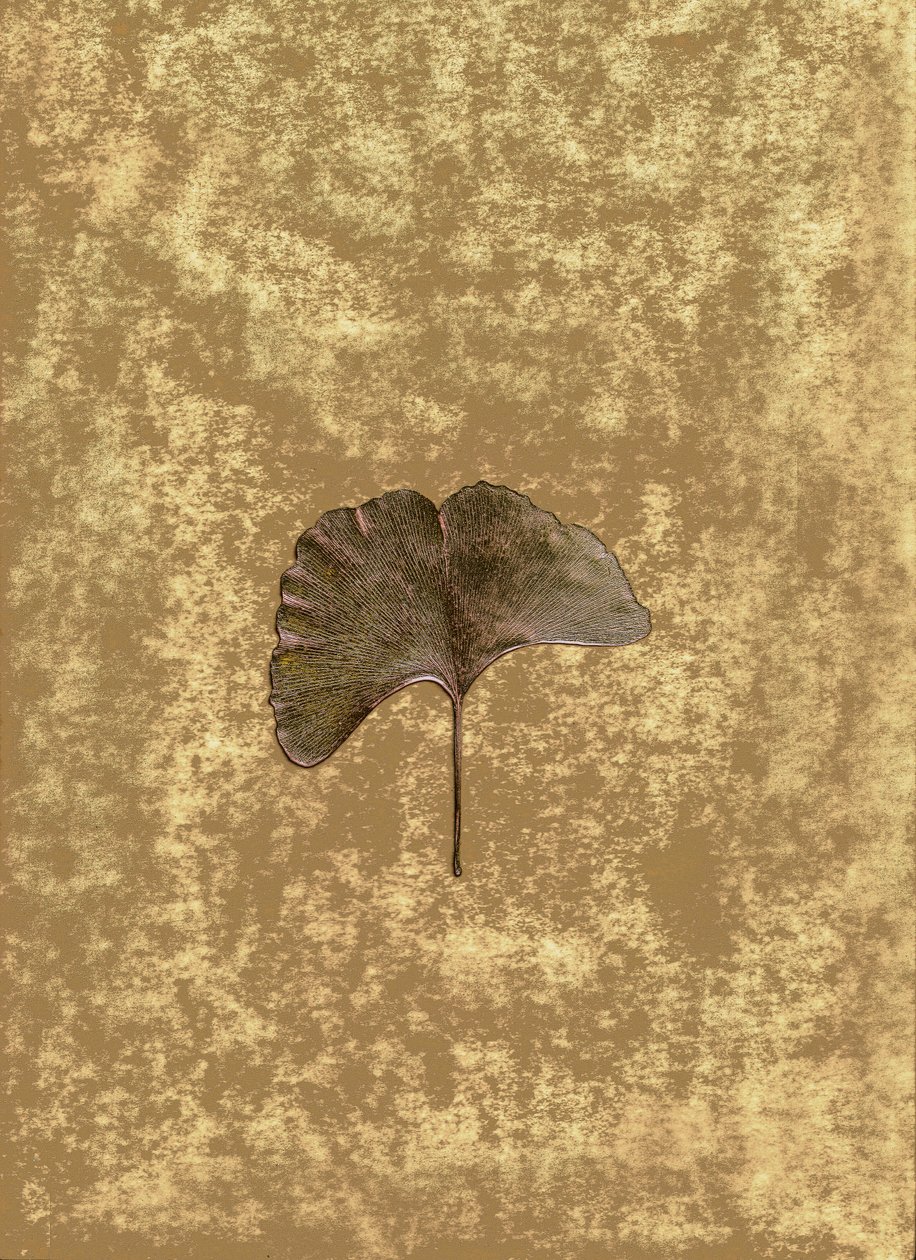 Ginkgo 3 von Antonius Antonius