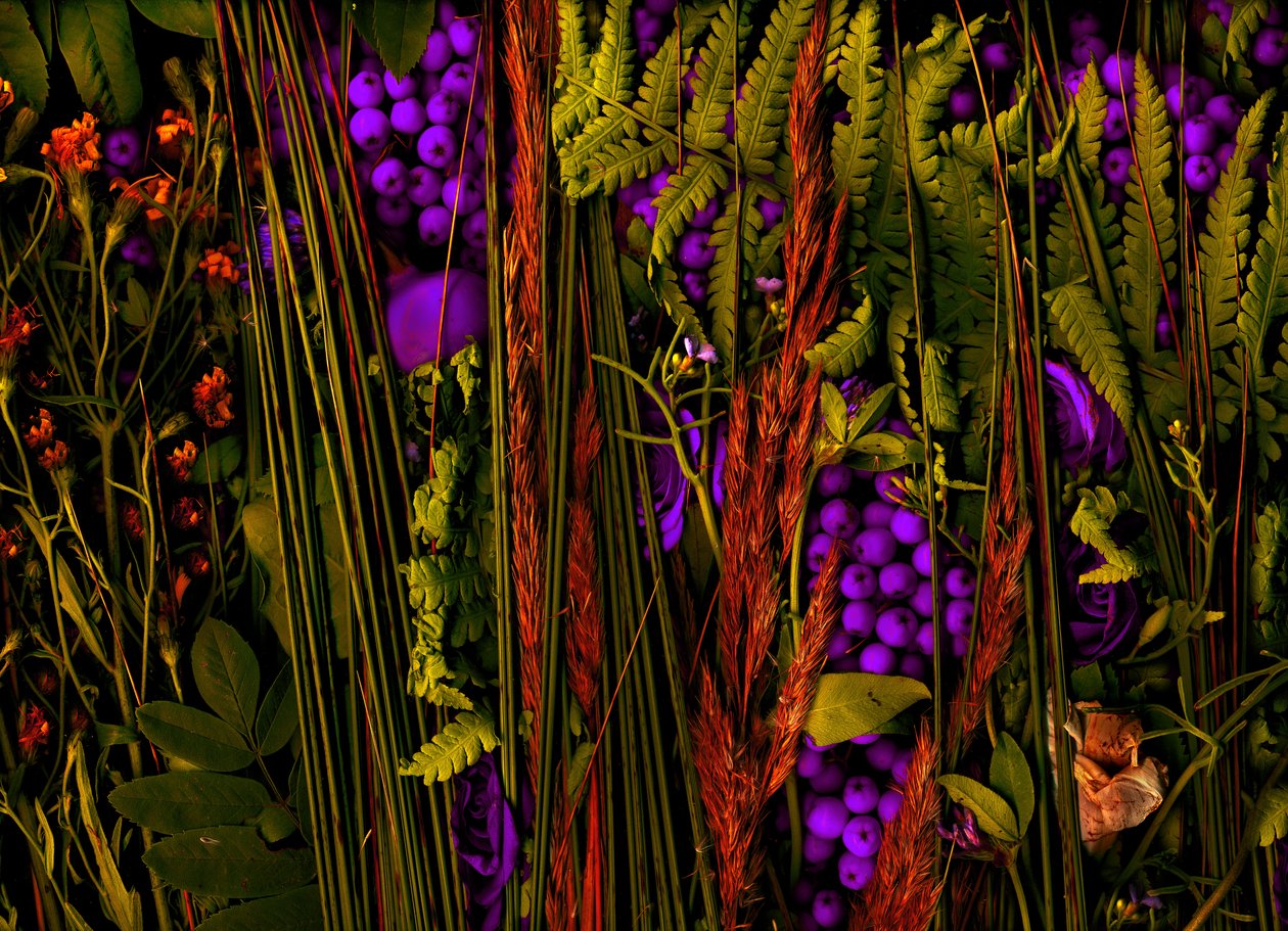 Magischer Garten Nr. 39-3, 2019 von Antonius Antonius