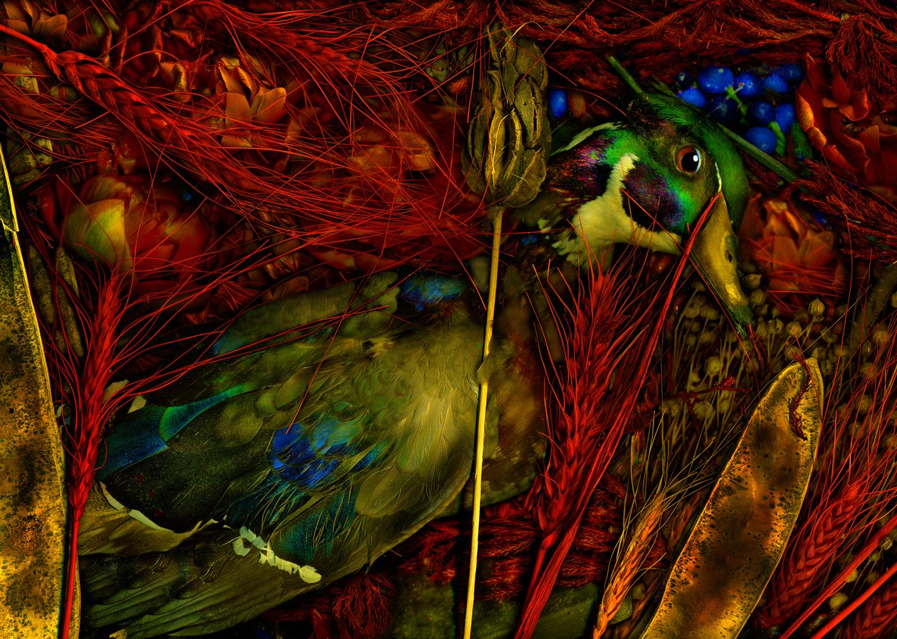 Magischer Garten Nr.76, 2012 von Antonius Antonius