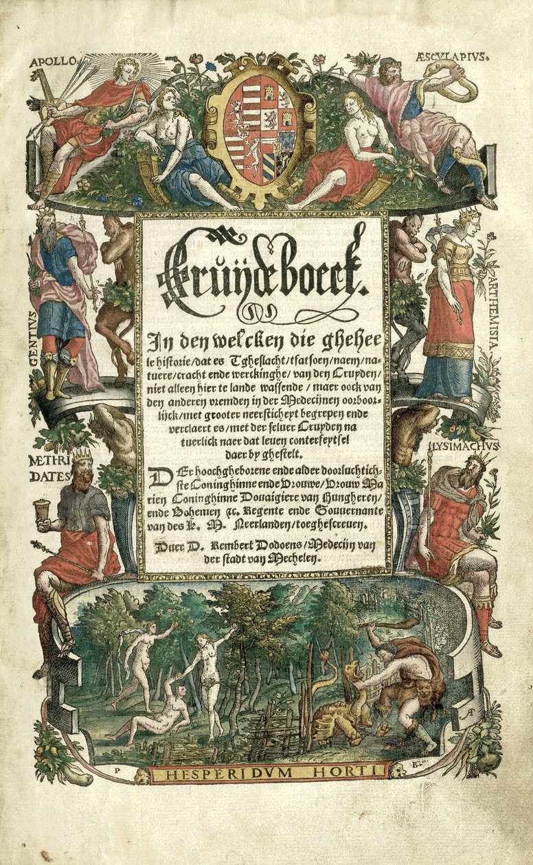 Dodoens Kräuterbuch mit Darstellungen von Pflanzen von Arnaud Nicolaï