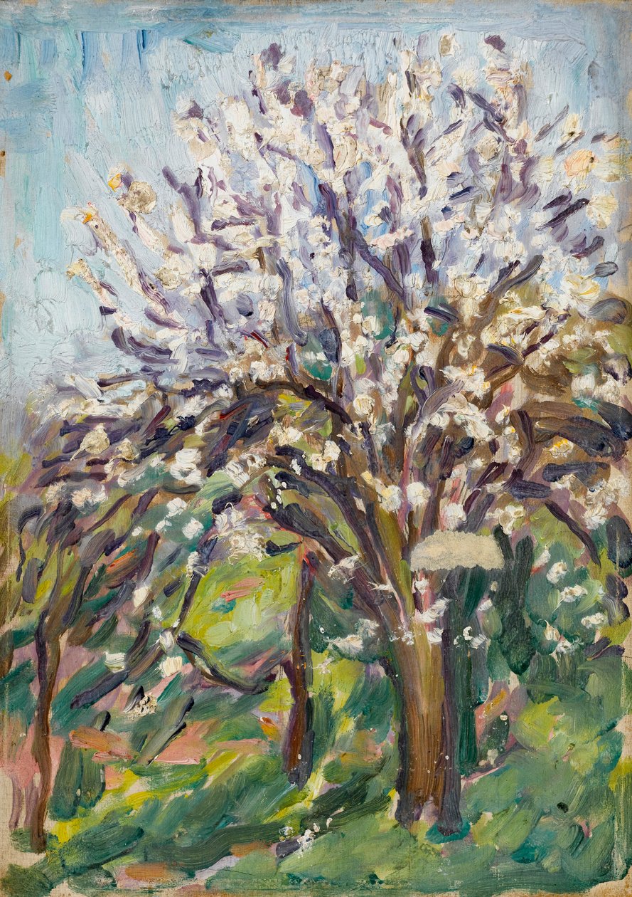 Mandelblüte an einem abfallenden Rand, ca. 1910 von Arthur Haythorne Studd