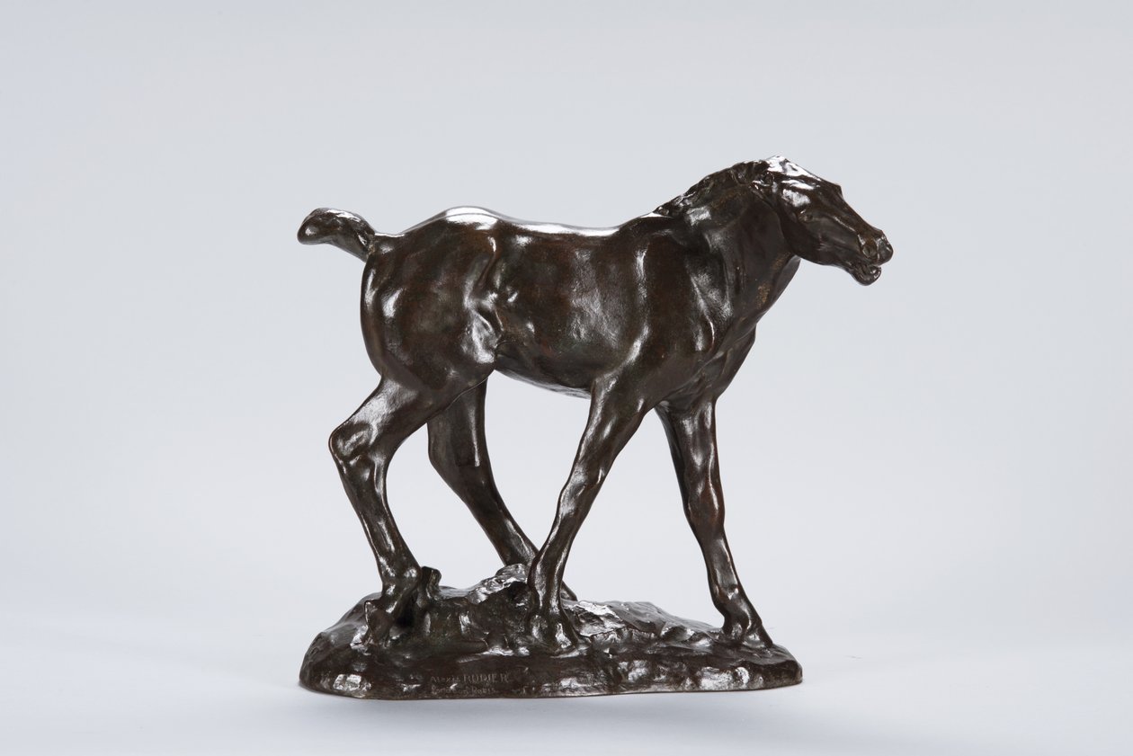 Fohlen (Bronze) von Arthur Putnam