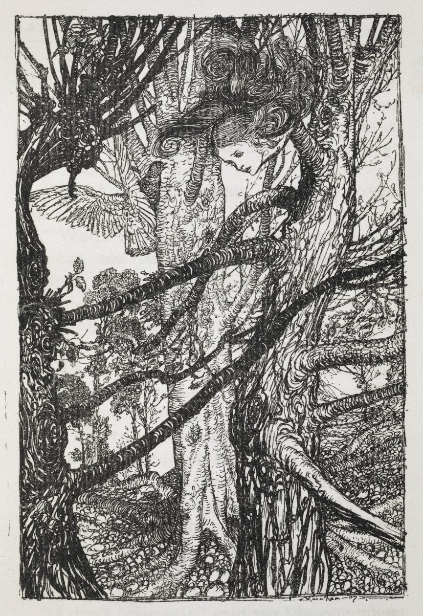 Alice als Schlange, die mit einer Taube spricht von Arthur Rackham