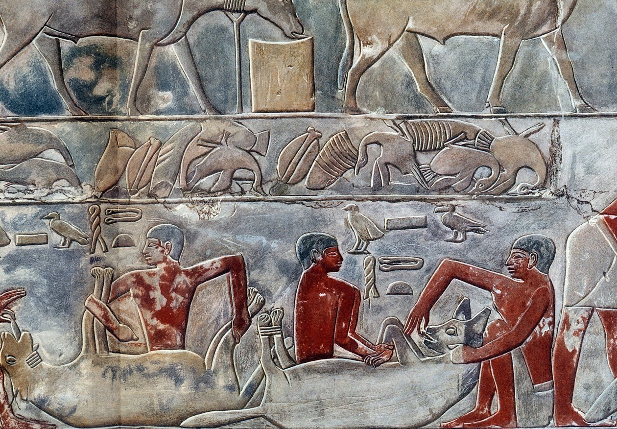 Kunst Ägypten: Fütterung einer Hyäne. College ähnlich der Mastaba von Mereruka. von Artist Unknown