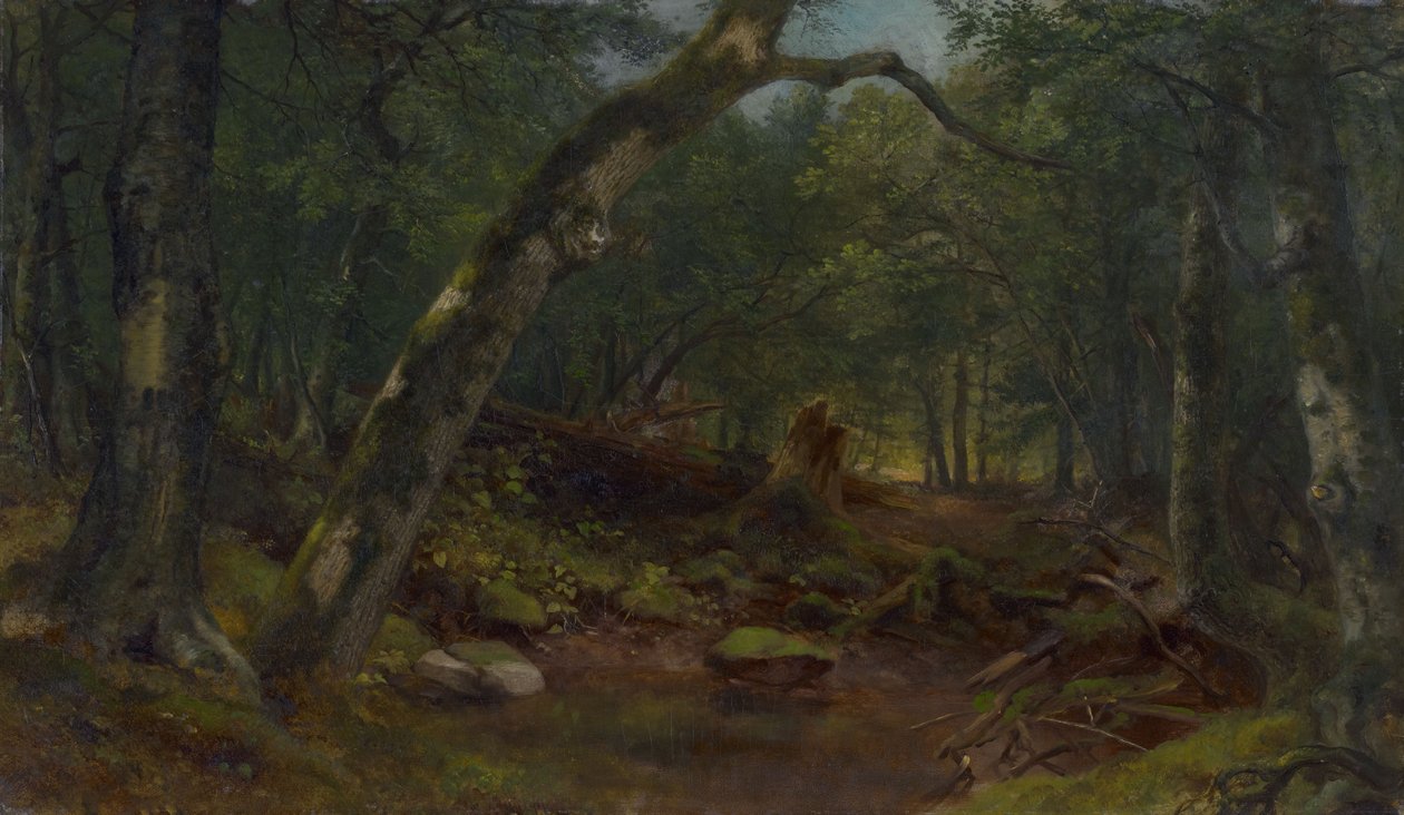 Künstlergasse nach einem Regenschauer von Asher Brown Durand